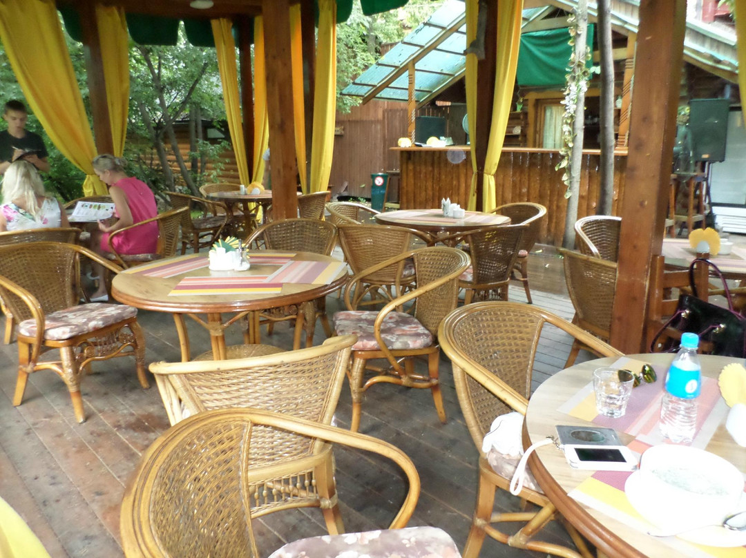 Trudovoye餐馆和美食-Kafe Dacha