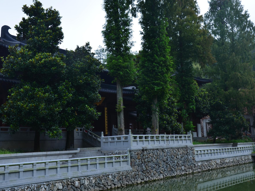 丽水莲都白云山景点图片