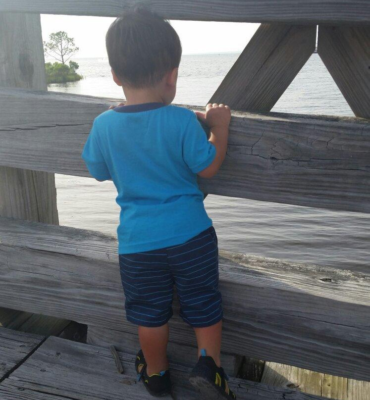 Jolee Island Nature Park景点图片