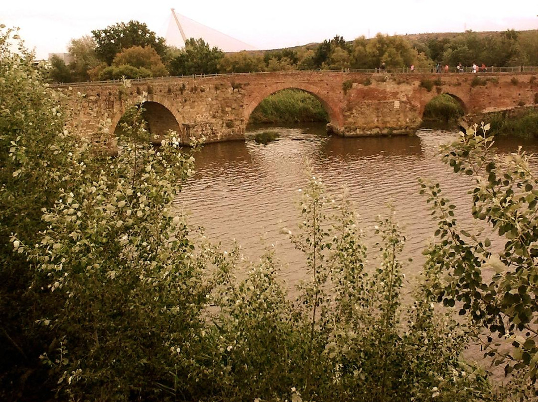 Puente Romano景点图片