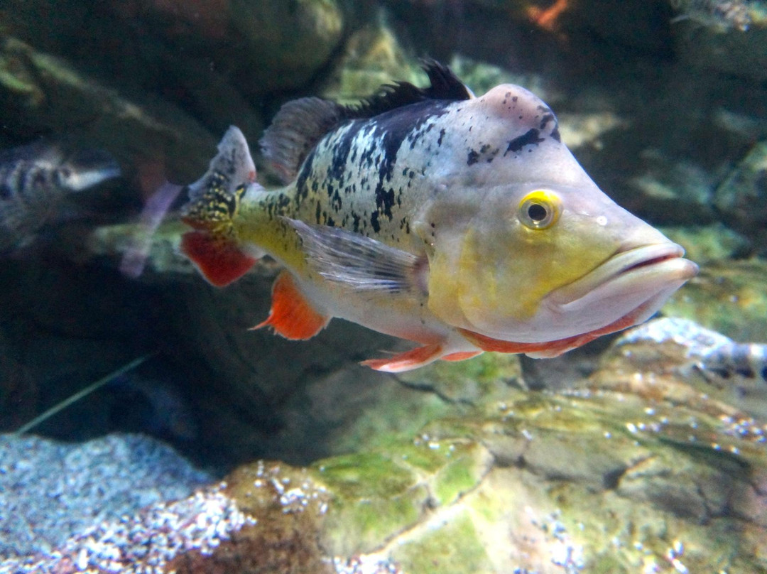 北京海洋馆-北京市必去景点