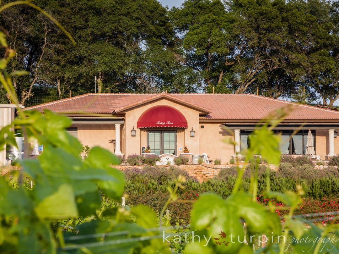 Wise Villa Winery景点图片