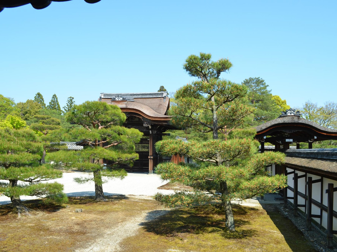 仁和寺-京都市必去景点