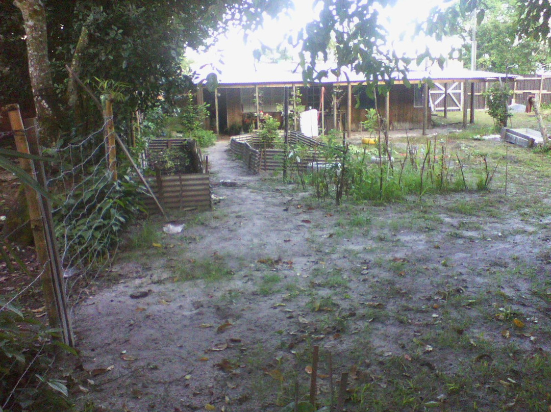 Valadares Island-巴拉那瓜必去景点