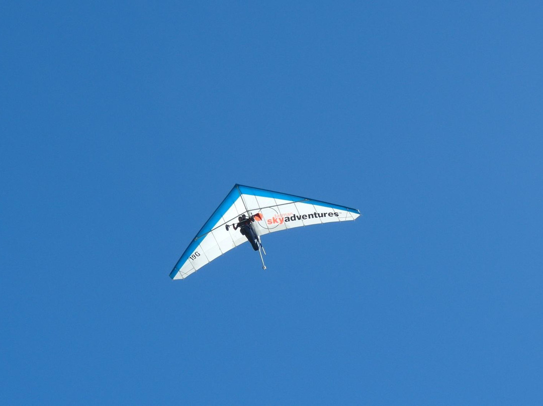 Tasman SkyAdventures Day Tours景点图片
