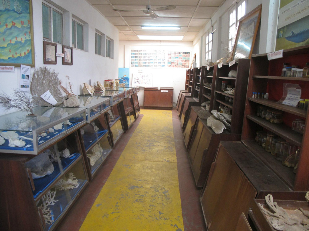 Musee Rabesandratana景点图片