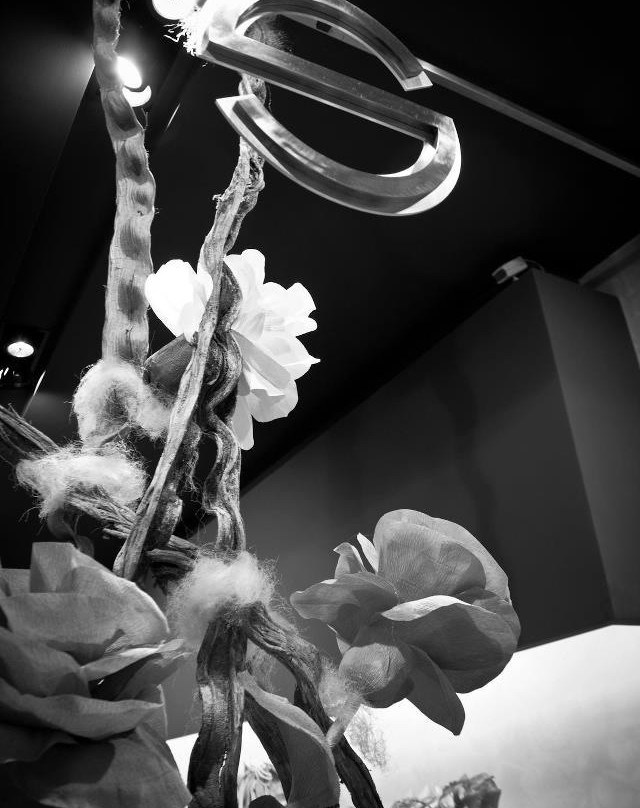 Soldano Shoes and Accessories-巴勒莫必去景点