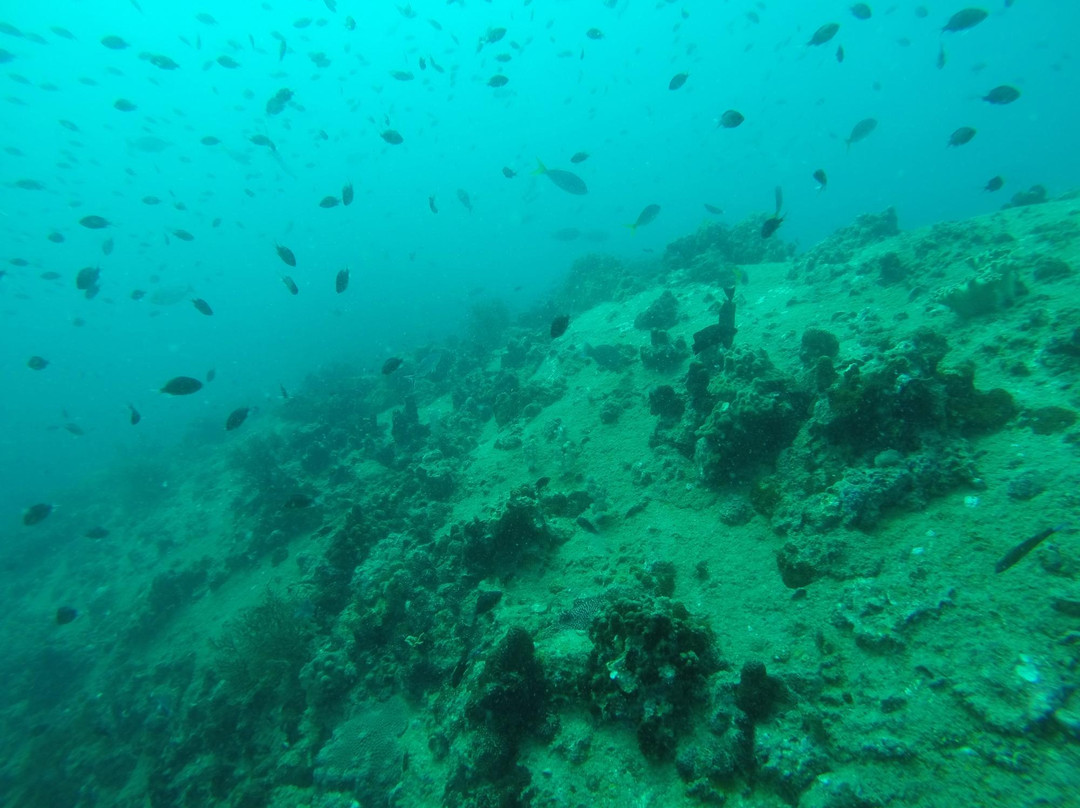 探索潜水中心-波普特必去景点