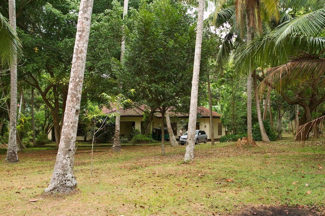 Achintha Villa-客卧