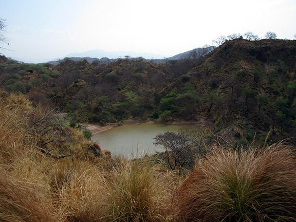 Nepli Reserve Forest-昌迪加必去景点