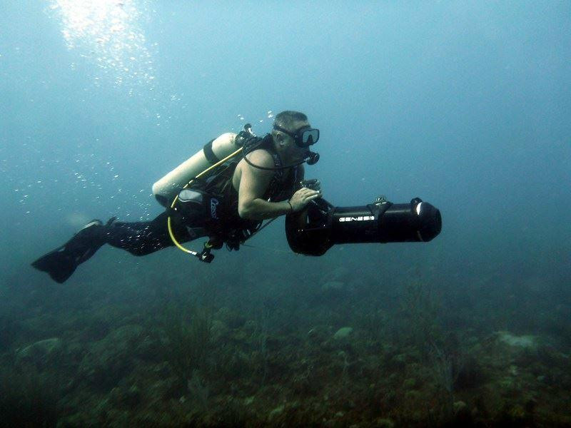 Neptunes Divers PR-Manati必去景点