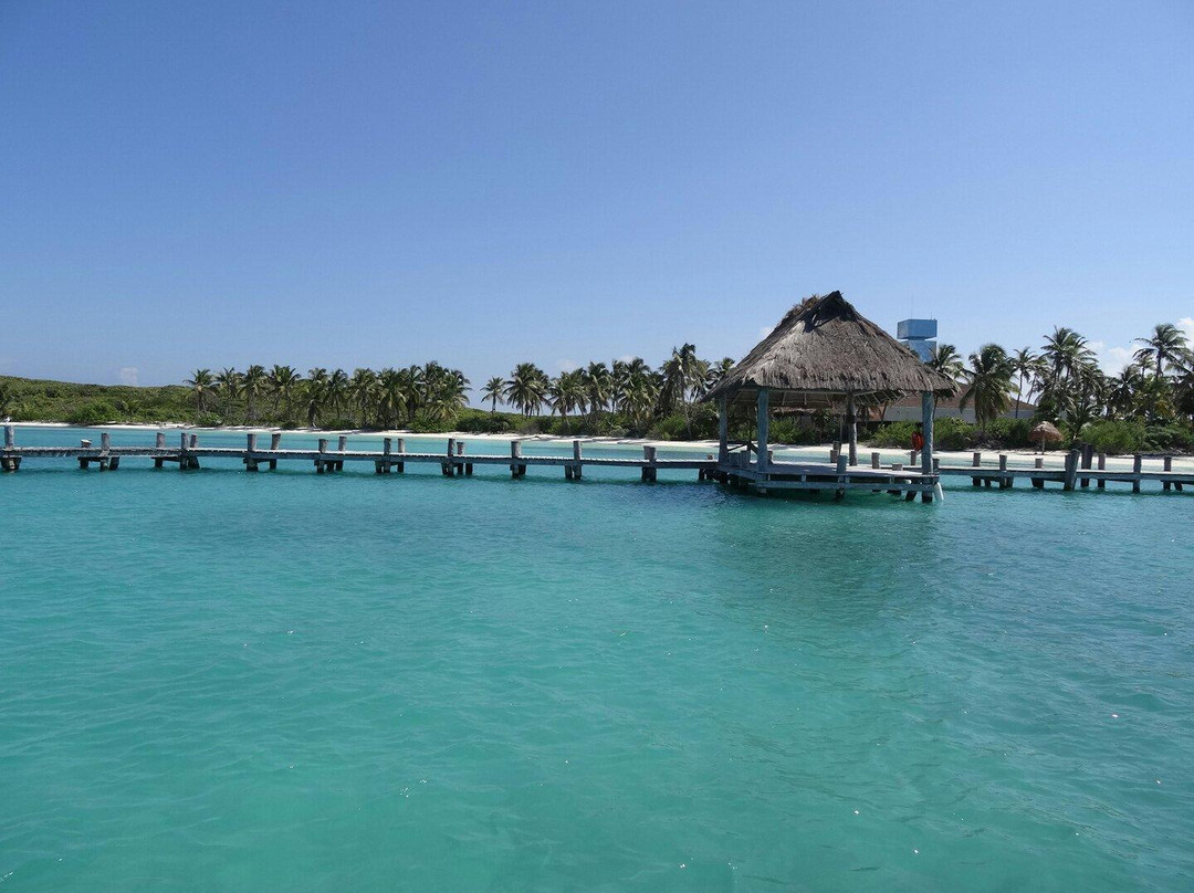 海洋观鲸鲨之旅-坎昆必去景点