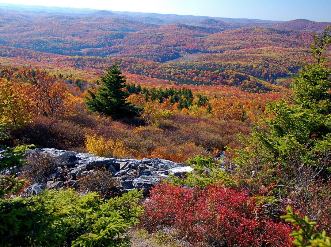 Seneca Rocks旅游攻略图片