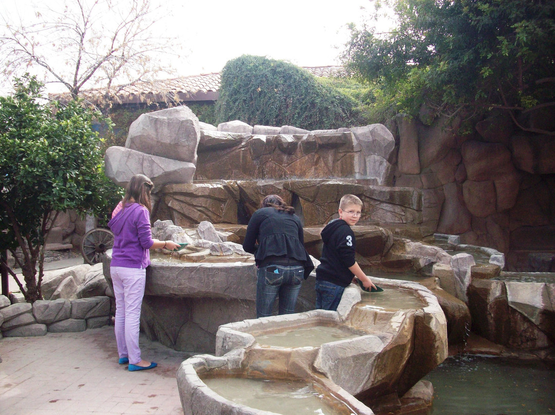 Arizona Museum Of Natural History-梅萨必去景点