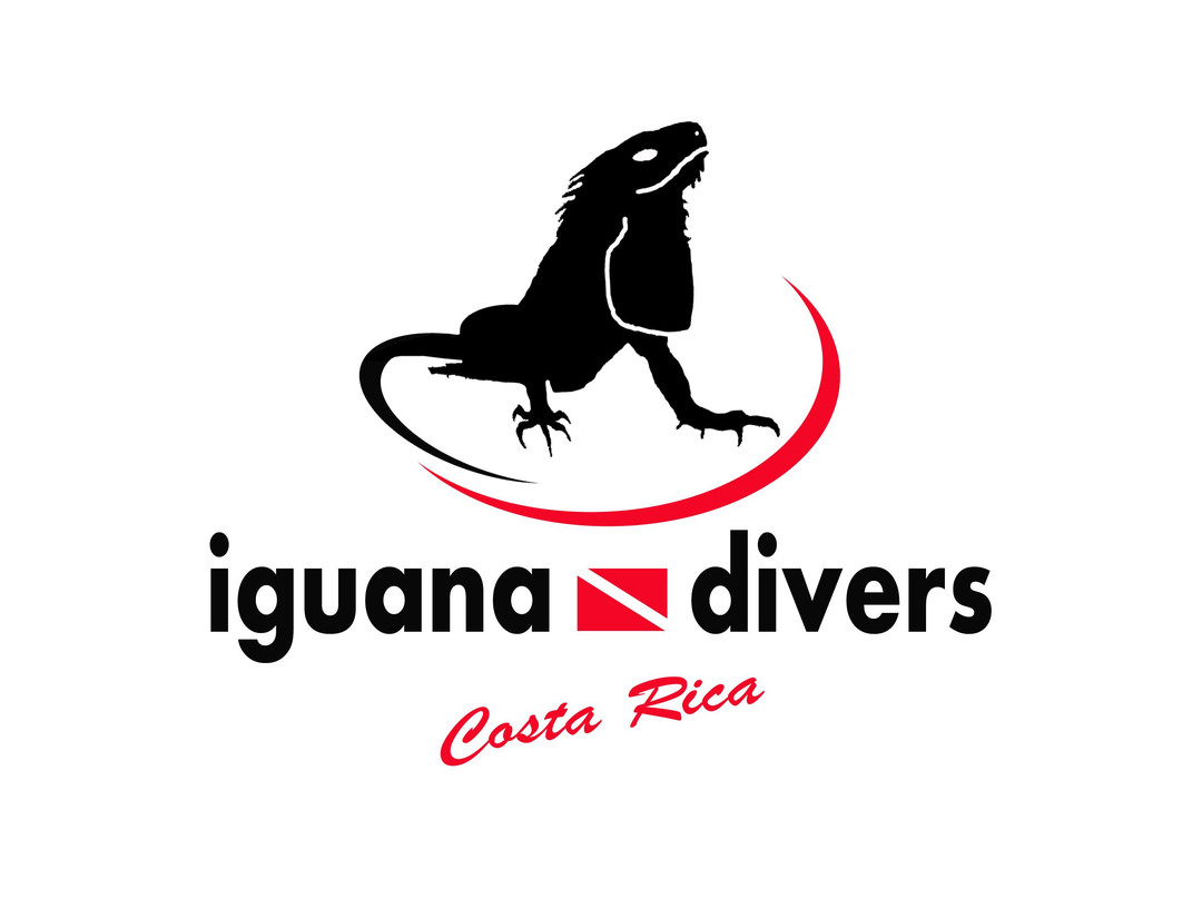 Iguana Divers-圣特雷莎必去景点
