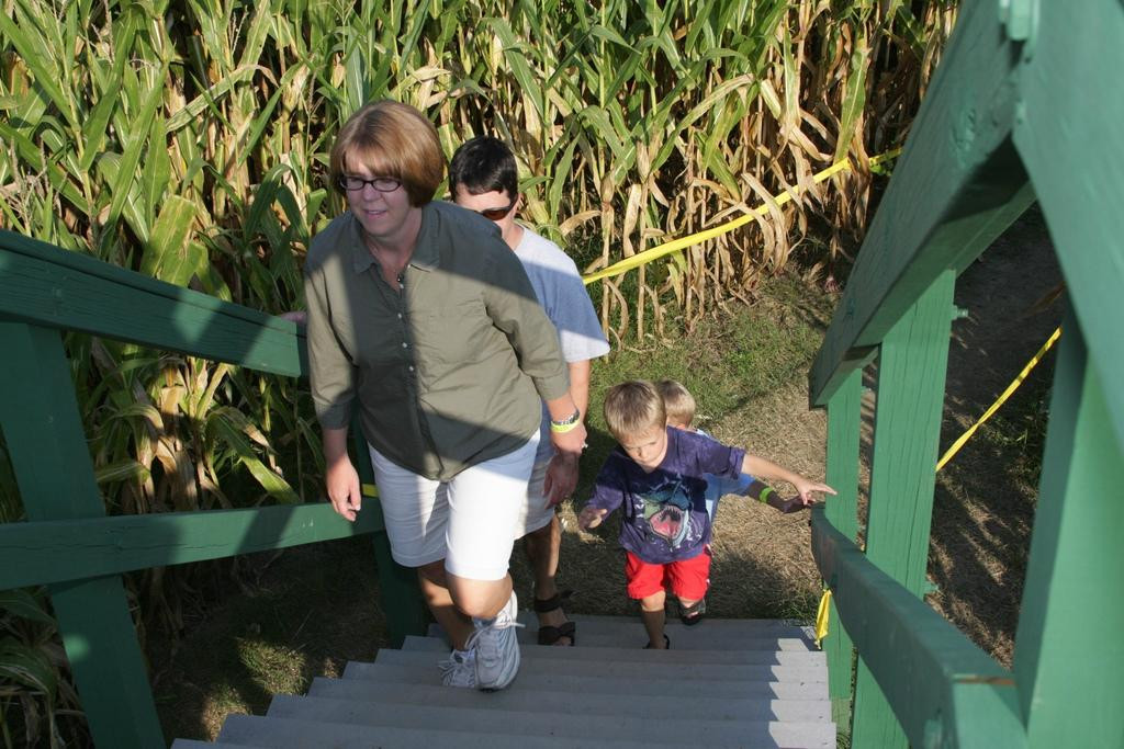 Kersey Valley Maize Adventure景点图片