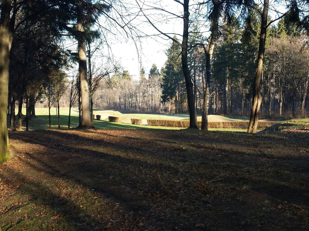 Park im. Henryka Wieniawskiego景点图片