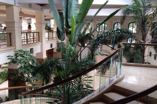 三亚亚龙湾希尔顿酒店主图