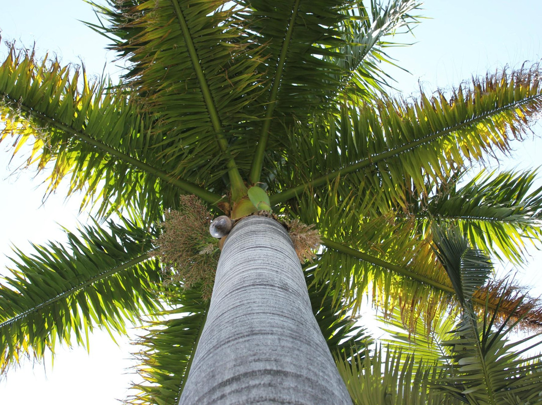 El Palmar Guest House主图