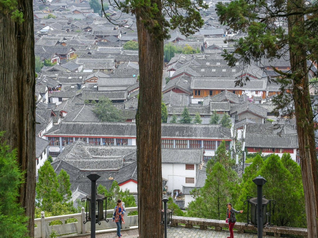 丽江狮子山-丽江市必去景点