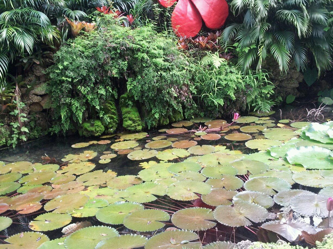 Pinecrest Gardens Farmer's Market-Pinecrest必去景点