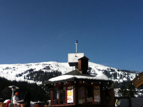 Frankenberg餐馆和美食-Wilderer Alm