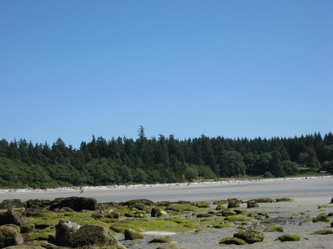 Tribune Bay Provincial Park景点图片