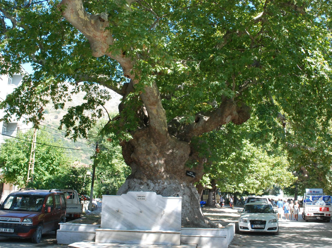 Murefte酒店住宿-Viking Motel