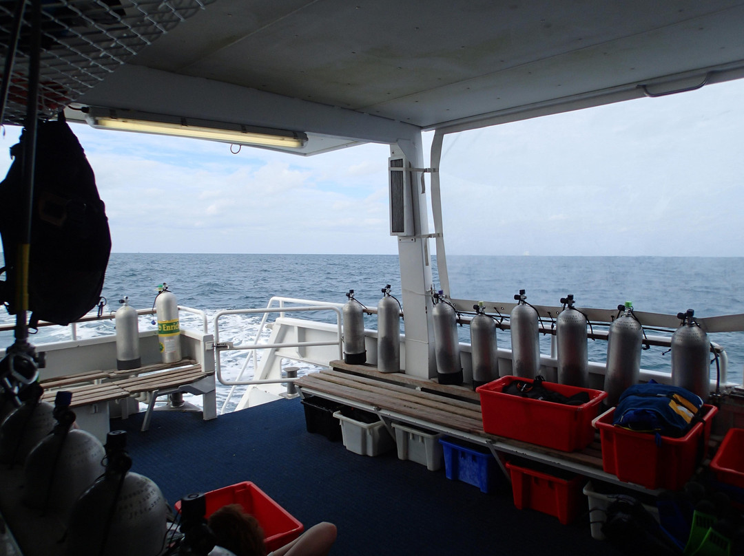 Pro Dive Cairns-凯恩斯必去景点