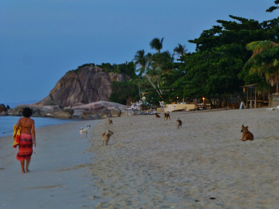 拉迈海滩-苏梅岛必去景点