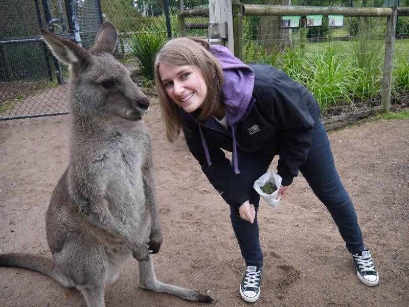Symbio Wildlife Park-海伦斯堡必去景点