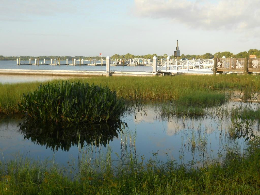 Wooton Park-Tavares必去景点