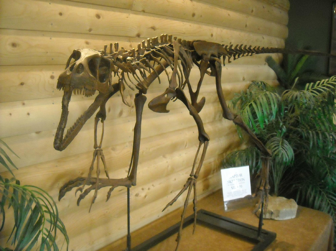 PaleoAdventures-Belle Fourche必去景点