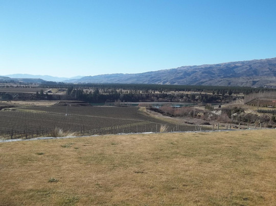 Gate 20 Two Vineyard-克伦威尔镇必去景点