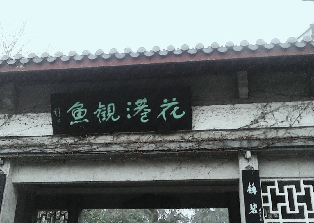 西湖花港观鱼公园-杭州市必去景点