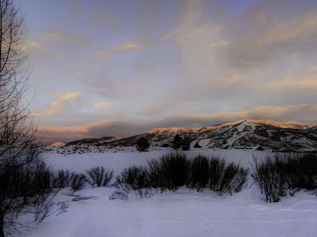 Rotary Park Boardwalk-斯廷博特斯普林斯必去景点
