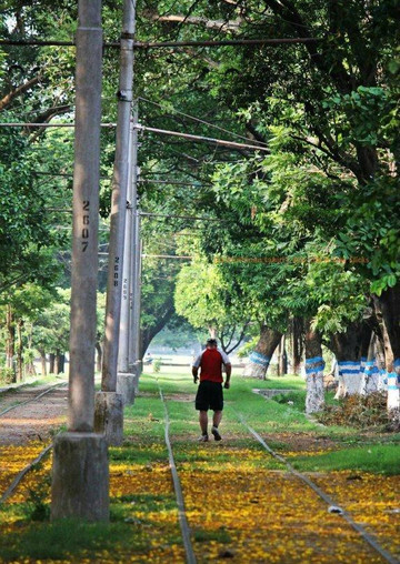 Kolkata Story Tours-加尔各答（亦写作“Calcutta”）必去景点