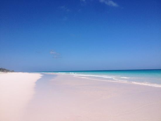 Pink Sands Beach-哈勃岛必去景点