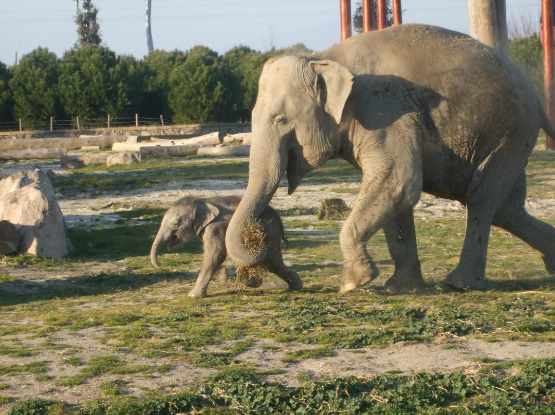 Izmir Wild Life Park景点图片
