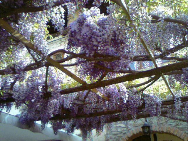 Valduggia旅游攻略图片