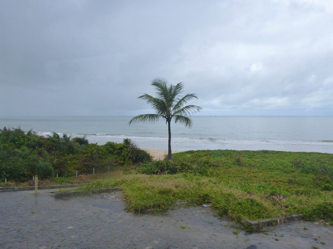 Itacimirim Beach景点图片