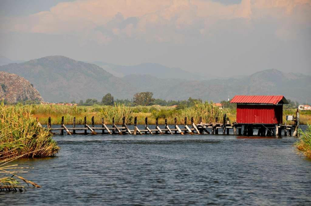 Dalyan Special Environmental Protection Area景点图片
