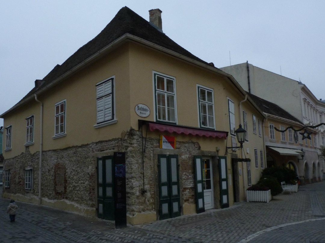 Beethovenhaus Baden-巴敦必去景点