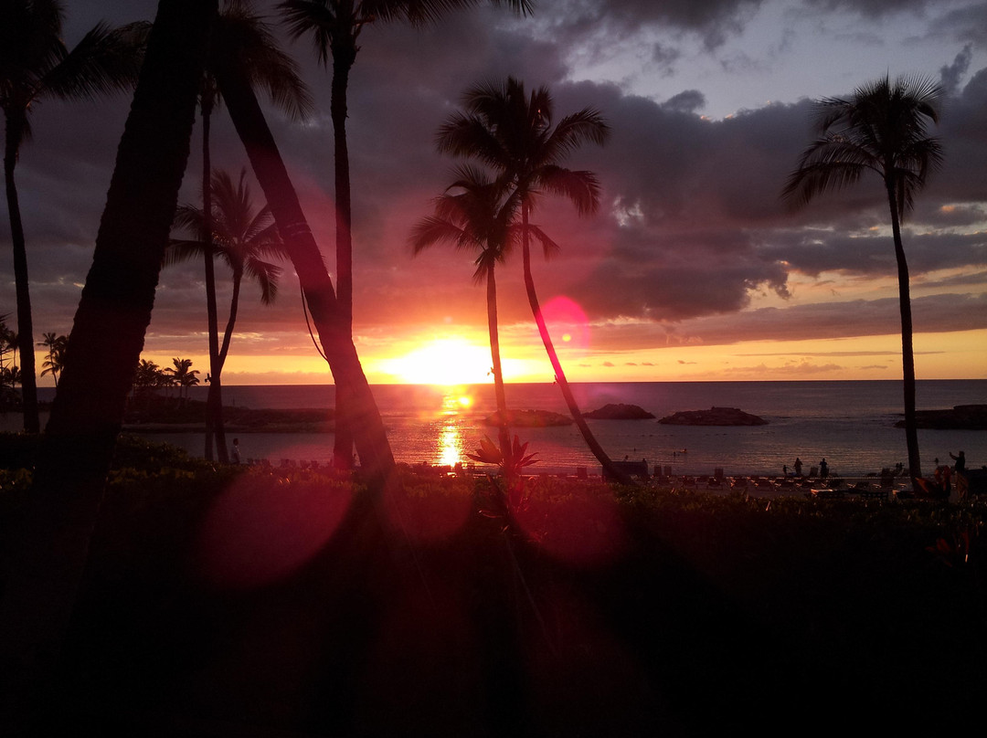 深层生态学-哈雷瓦必去景点