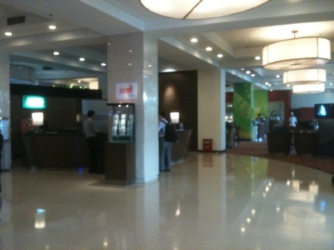 郑州中州智选假日酒店-客卧