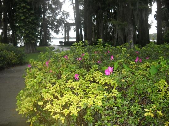Kraft Azalea Gardens景点图片