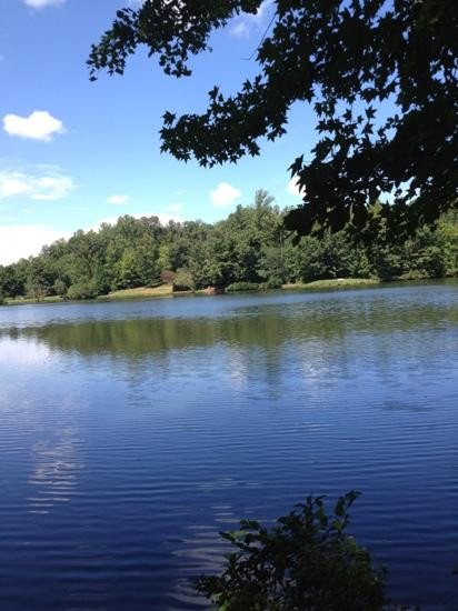 Anne Springs Close Greenway-米尔堡必去景点