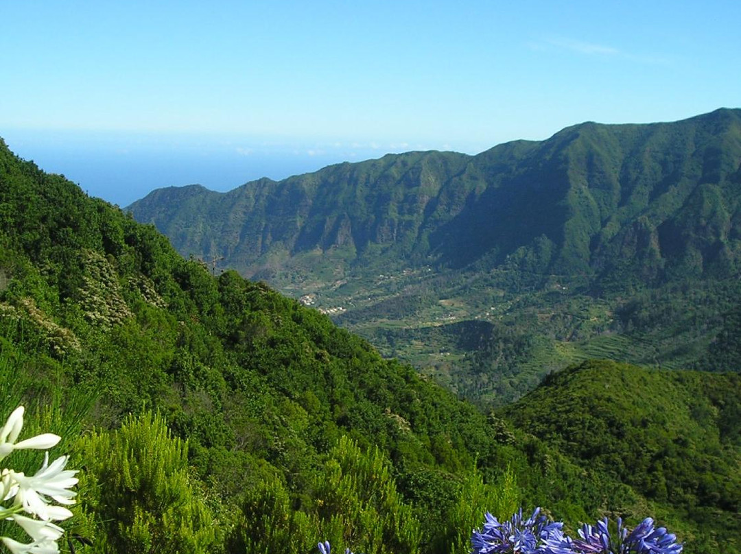Madeira Seekers - Day Tours景点图片