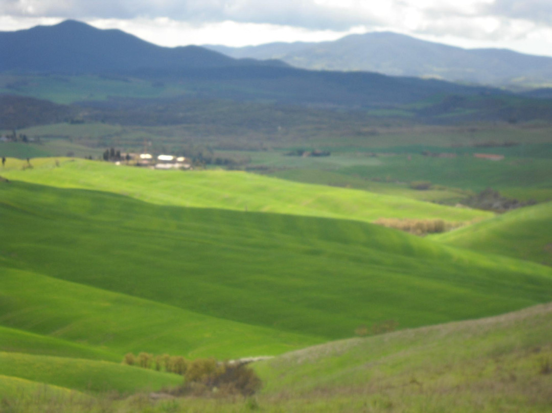 Grifo Tour - Centro Guide in Toscana-比萨必去景点