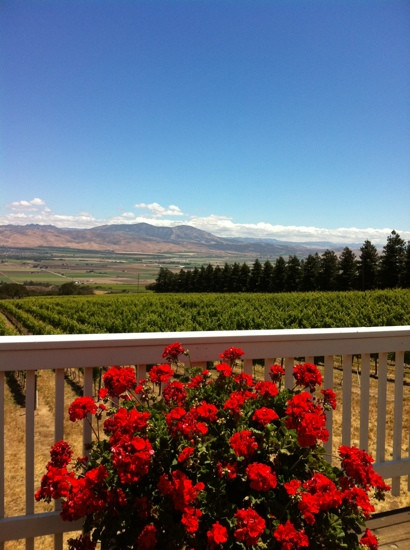 Smith & Hook Winery-Soledad必去景点